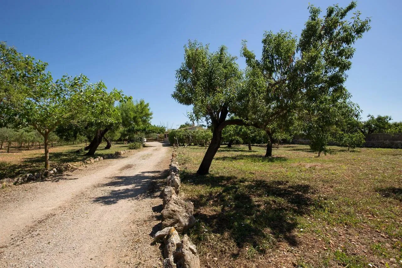 Ca'n Lluis - La Goleta Villas Pollensa